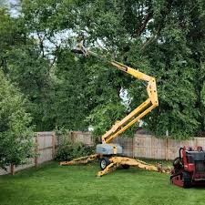 Best Lawn Seeding  in Jarrettsville, MD
