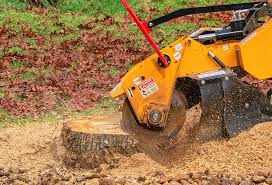 Best Storm Damage Tree Cleanup  in Jarrettsville, MD